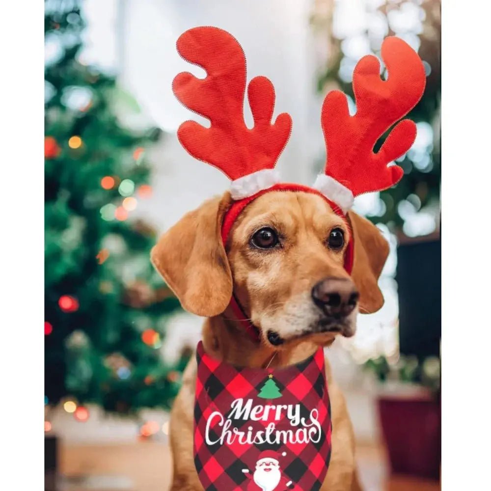 Christmas Bandana for Dogs - Adjustable Triangle Scarf | Nordic Gift - shop_name Christmas Bandana for Dogs - Adjustable Triangle Scarf | Nordic Giftnordicgift