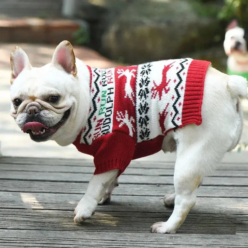 Christmas Sweater for Dogs - Warm Turtleneck for Small Dogs | Christmas Dog Clothes - shop_name Christmas Sweater for Dogs - Warm Turtleneck for Small Dogs | Christmas Dog Clothesnordicgift