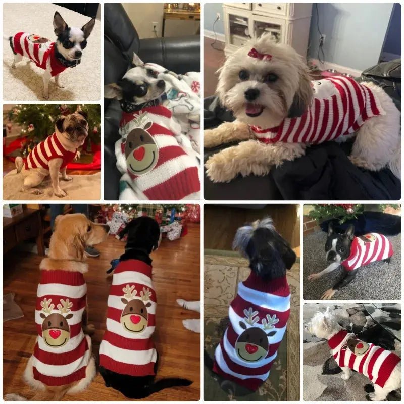 Christmas Sweater for Dogs - Warm Turtleneck for Small Dogs | Christmas Dog Clothes - shop_name Christmas Sweater for Dogs - Warm Turtleneck for Small Dogs | Christmas Dog Clothesnordicgift