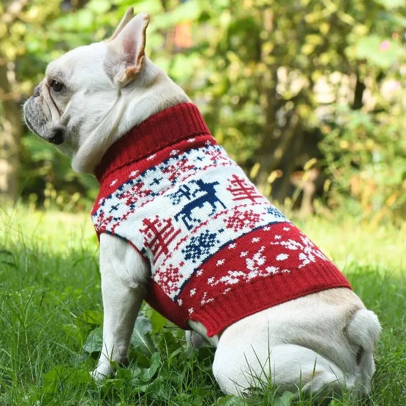 Christmas Sweater for Dogs - Warm Turtleneck for Small Dogs | Christmas Dog Clothes - shop_name Christmas Sweater for Dogs - Warm Turtleneck for Small Dogs | Christmas Dog Clothesnordicgift