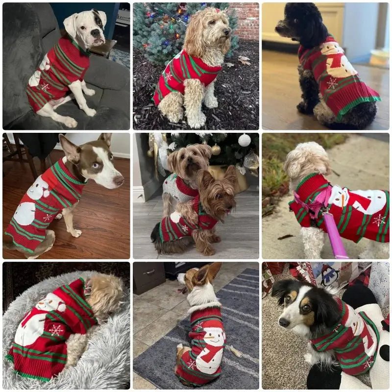 Christmas Sweater for Dogs - Warm Turtleneck for Small Dogs | Christmas Dog Clothes - shop_name Christmas Sweater for Dogs - Warm Turtleneck for Small Dogs | Christmas Dog Clothesnordicgift