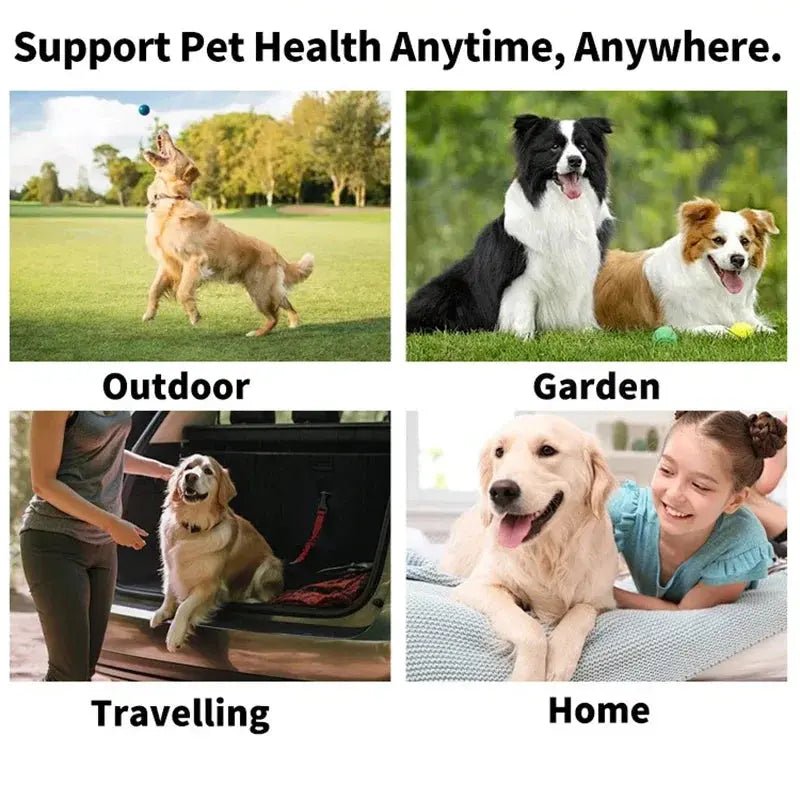 eye wipes for pets - Tear Stain Removal - shop_name eye wipes for pets - Tear Stain Removalnordicgift