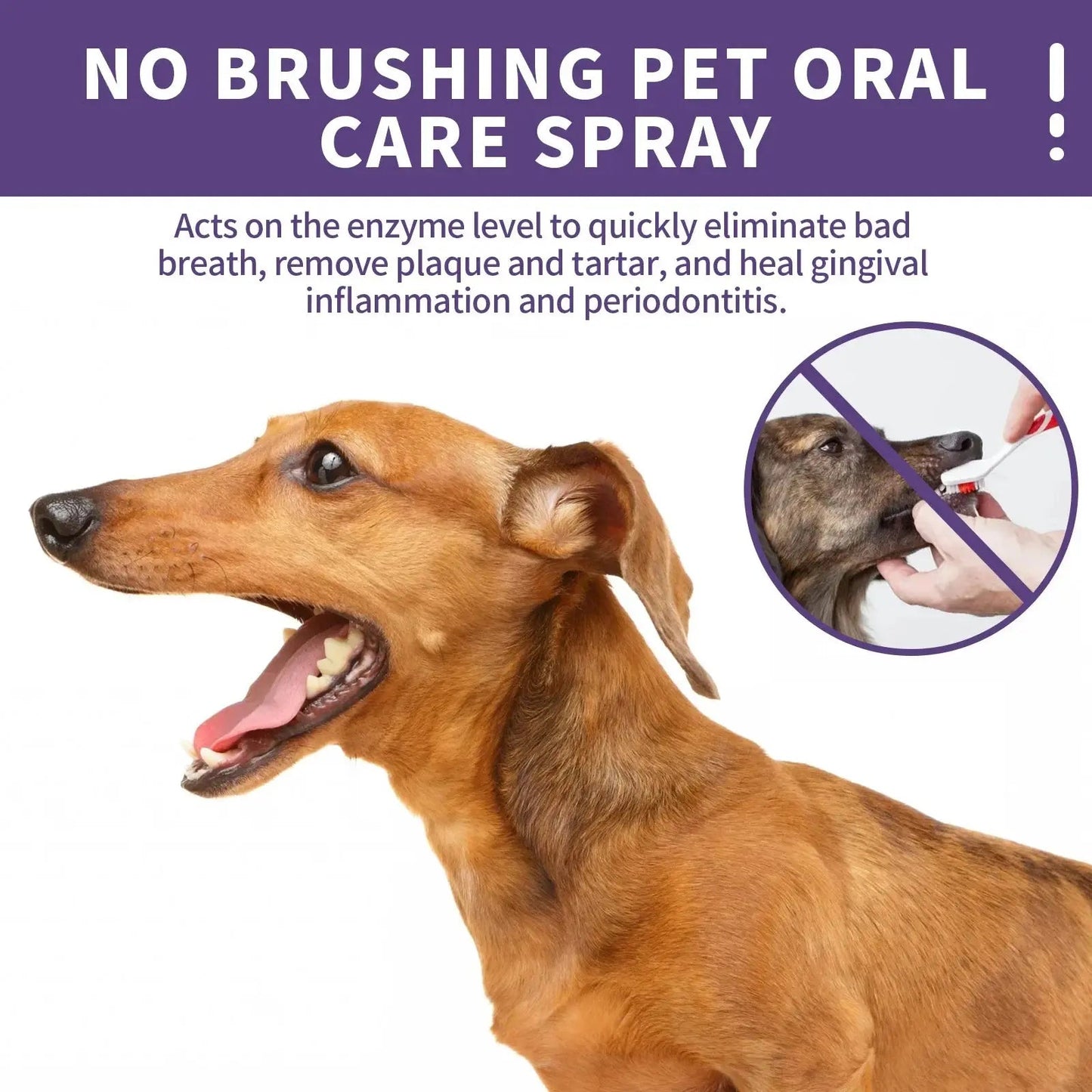 Oral Care Spray for Dogs and Cats - 50ml Dental Cleaning - shop_name Oral Care Spray for Dogs and Cats - 50ml Dental Cleaningnordicgift