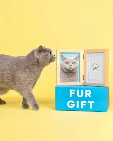 Paw Print Inkpad - Dog & Cat Keepsake DIY Kit Inkless - shop_name Paw Print Inkpad - Dog & Cat Keepsake DIY Kit Inklessnordicgift