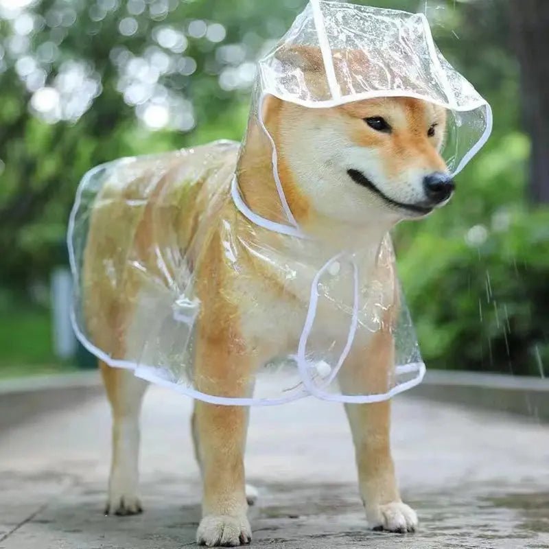 Transparent Hooded Dog Raincoat | S - XXL - shop_name Transparent Hooded Dog Raincoat | S - XXLnordicgift