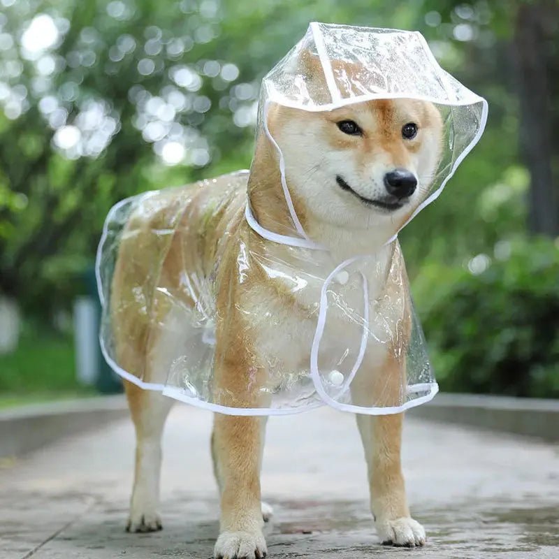 Transparent Hooded Dog Raincoat | S - XXL - shop_name Transparent Hooded Dog Raincoat | S - XXLnordicgift