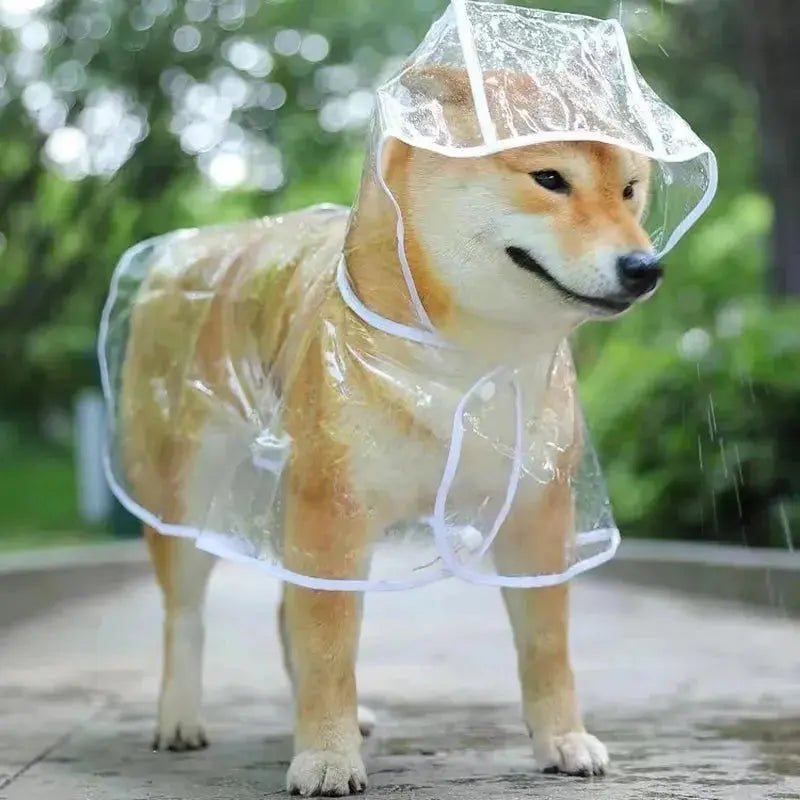 Transparent Hooded Dog Raincoat | S - XXL - shop_name Transparent Hooded Dog Raincoat | S - XXLnordicgift