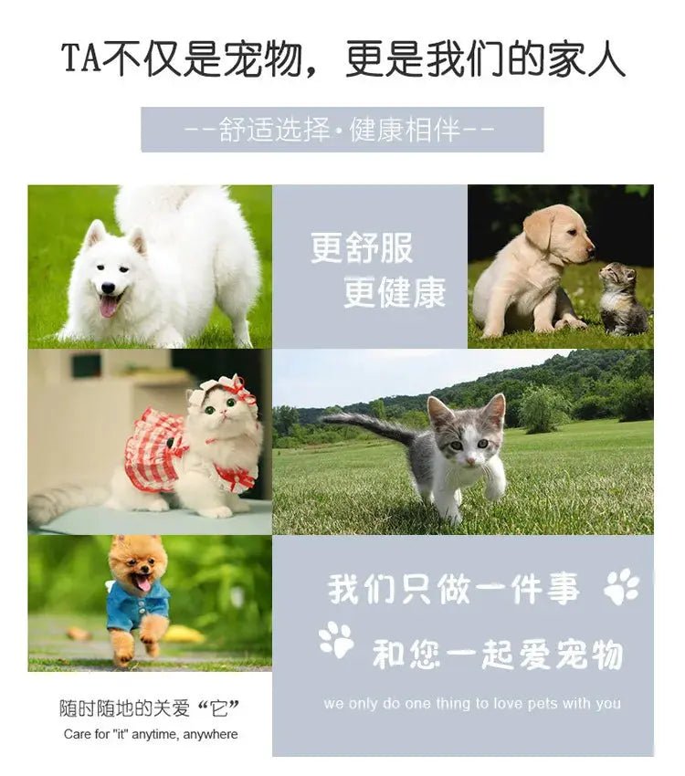 Wooden Cat Hammock - Swing Nest for Cats - shop_name Wooden Cat Hammock - Swing Nest for Catsnordicgift